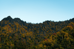 Mountain top in the fall.